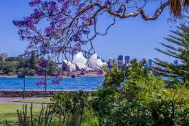 Australian and New Zealand landscape beside dried herbs and botanical extracts representing ANZ market entry for Indian ingredients