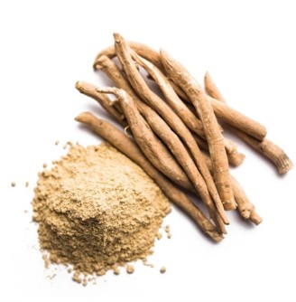 Bulk bags of ashwagandha root extract powder ready for international export from India