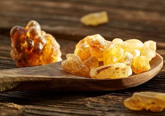 Boswellia serrata resin and frankincense extract representing joint health herbal ingredient sourcing from India