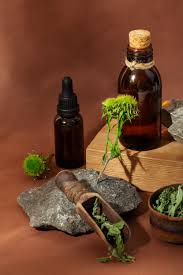 Four pathways for sourcing herbal ingredients from India displayed as a decision chart