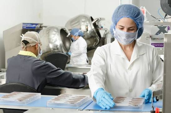 EU food safety documentation and herbal ingredient samples on a laboratory bench