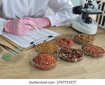 Small glass dishes of dried herbs and spices beside a laboratory notebook and a pipette on a pale bench