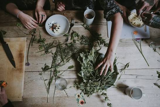 Herbal plant materials being sorted and documented for supply chain traceability
