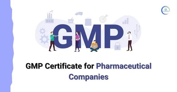 How to Verify an Indian GMP Certificate: A Buyer's Guide