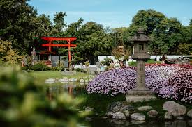 Japanese torii gate beside dried herbs and botanical extracts representing Japan market entry for Indian ingredients