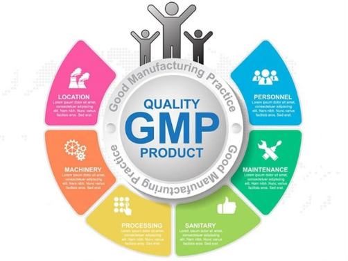 Lakadong Turmeric Certifications Explained: GI Tag, Organic, GMP, and Export Compliance
