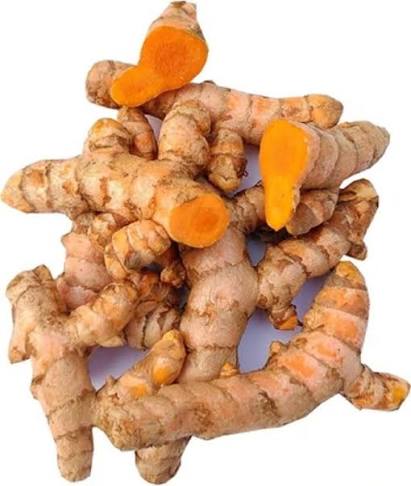 Dried Lakadong turmeric fingers from Meghalaya, India, prepared for export to UAE and GCC buyers