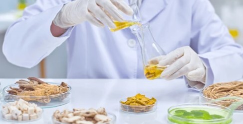 Four Lakadong turmeric product forms side by side: whole-herb powder, dark oleoresin paste, standardized curcumin extract powder, and essential oil in an amber bottle