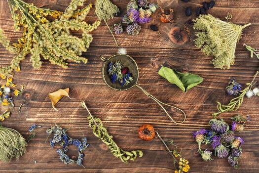 Brazilian and Mexican botanical ingredients prepared for export documentation and regulatory review