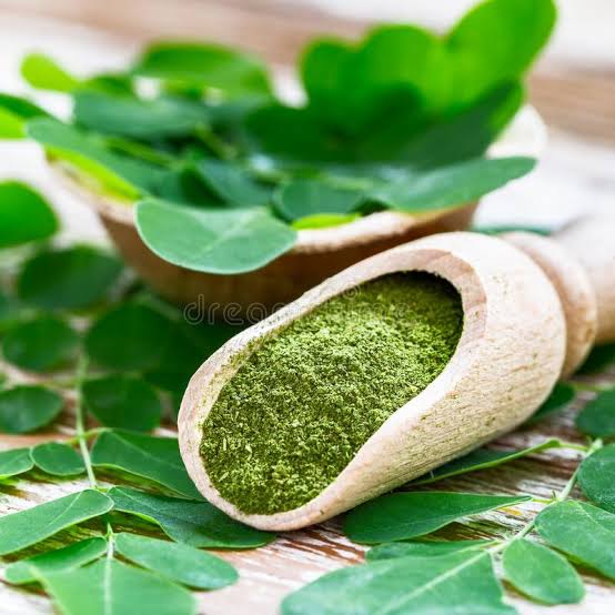 Green moringa leaf powder in a bowl with fresh moringa leaves