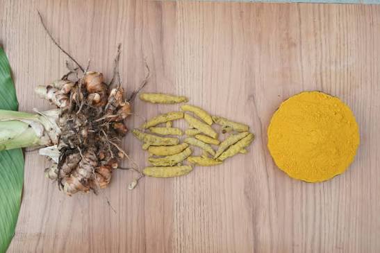 Certified organic turmeric rhizomes and powder samples with NPOP and USDA organic certification documents