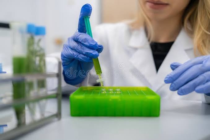 Laboratory analyst reviewing HPLC chromatogram output from Indian herbal ingredient quality testing