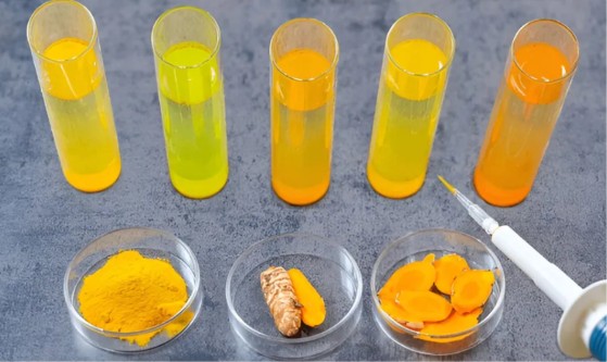 Laboratory technician comparing heavy metal test results for turmeric samples from different Indian growing origins
