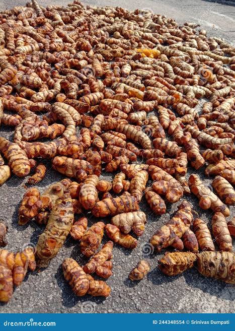 Comparison of turmeric drying methods across a dry Tamil Nadu processing yard and a humid Meghalaya hillside