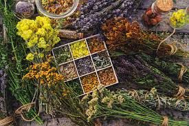 Dried herbal botanicals and extract bottles representing USA market entry for Indian ingredient suppliers