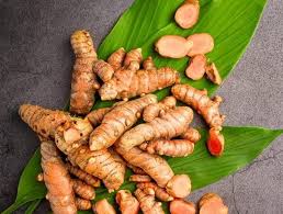 Fresh turmeric root