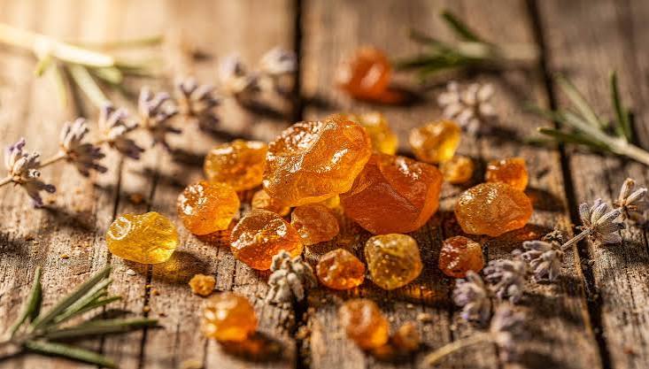 Boswellia resin and bark